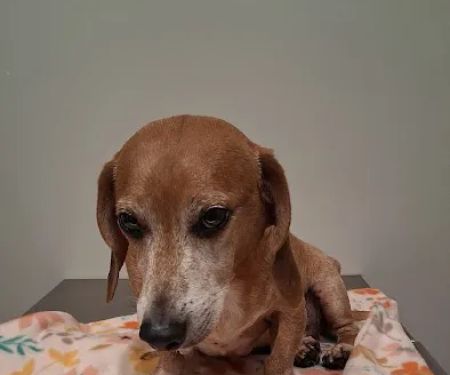 Rough River Veterinary Clinic