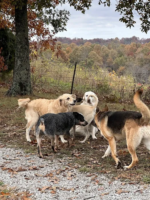 Rough River Veterinary Clinic Picture 3