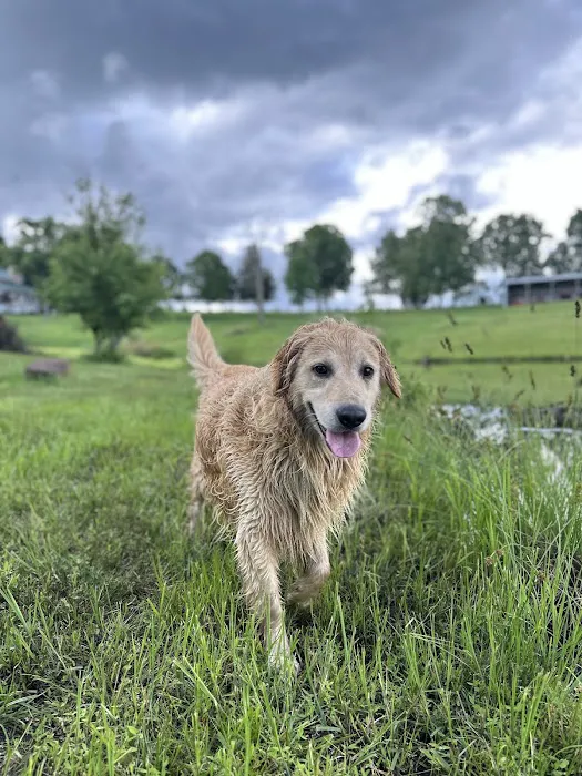 Rough River Veterinary Clinic Picture 2