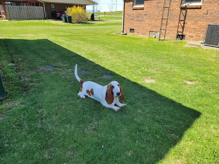 Rough River Veterinary Clinic Picture 4