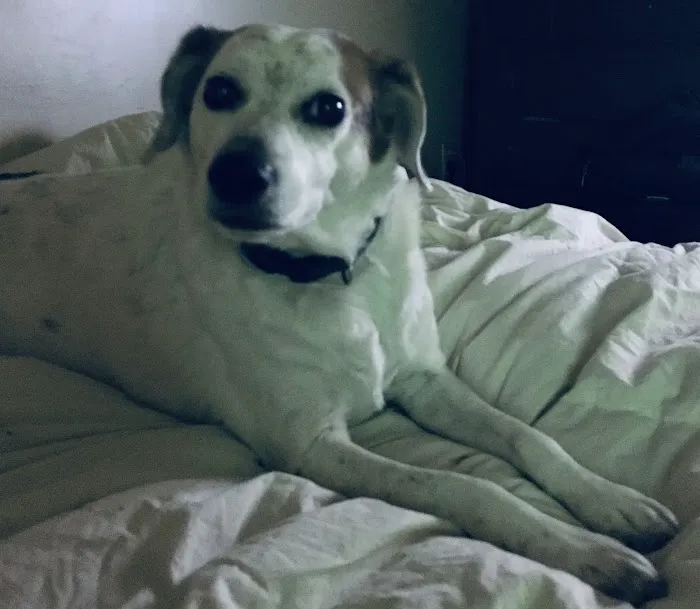 Rough River Veterinary Clinic Picture 5