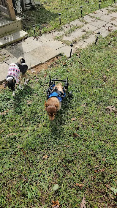 Rough River Veterinary Clinic Picture 7