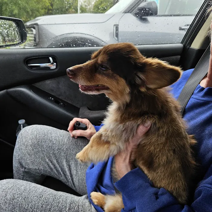 Rough River Veterinary Clinic Picture 8