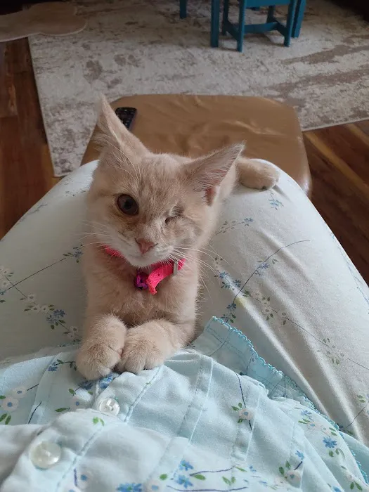 Rough River Veterinary Clinic Picture 6