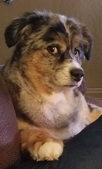 Rough River Veterinary Clinic Picture 9