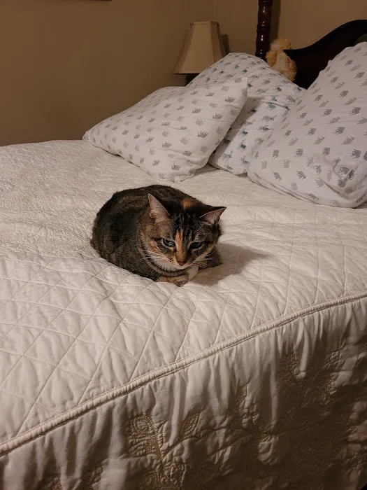 Ayer Ann a DVM Picture 4