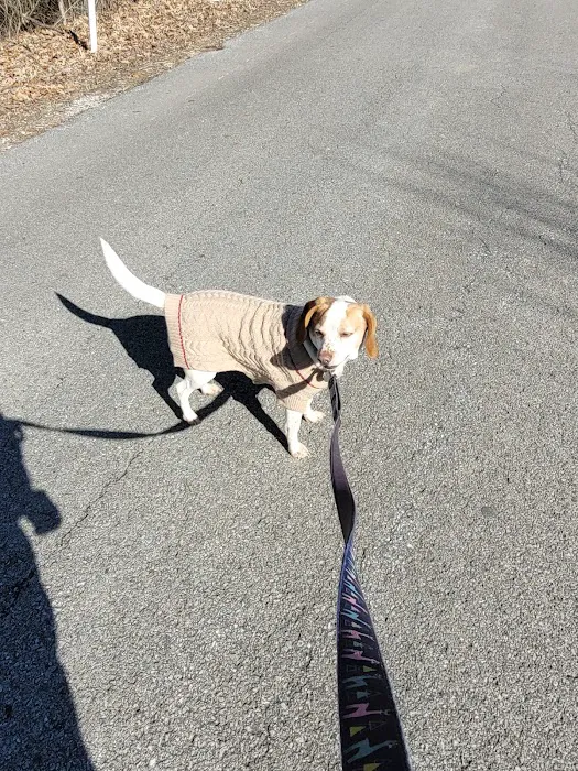 Ayer Ann a DVM Picture 5