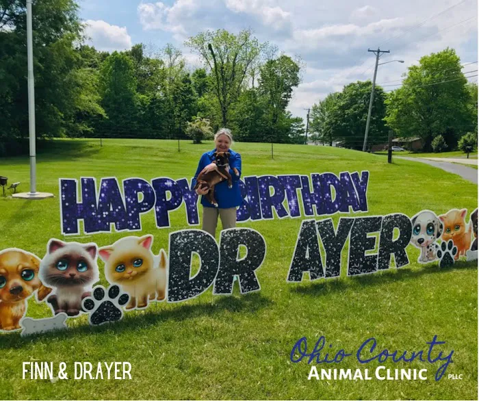 Ayer Ann a DVM Picture 6