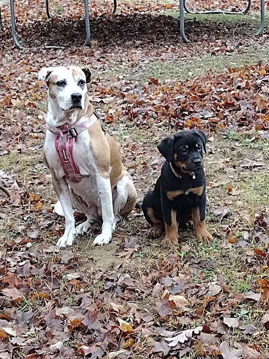 Ohio County Animal Clinic PLLC Picture 2