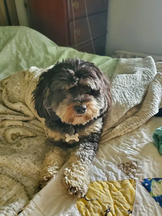 Ohio County Animal Clinic PLLC Picture 3