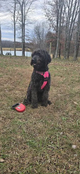 Ohio County Animal Clinic PLLC Picture 4