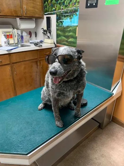 Ohio County Animal Clinic PLLC Picture 8