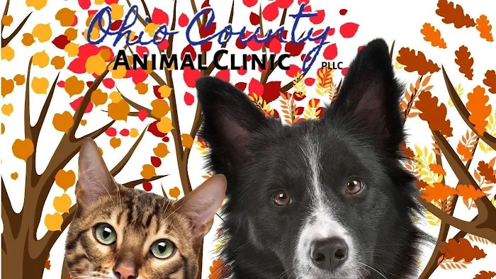 Ohio County Animal Clinic PLLC Picture 10