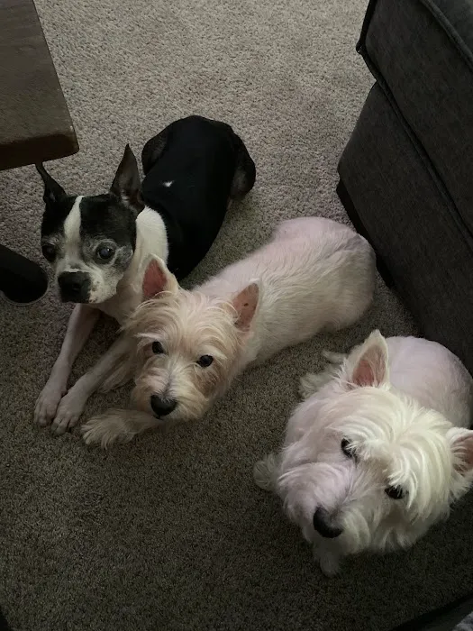 Twin Valley Veterinary Clinic Picture 1