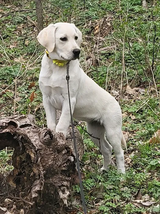 Twin Valley Veterinary Clinic Picture 3