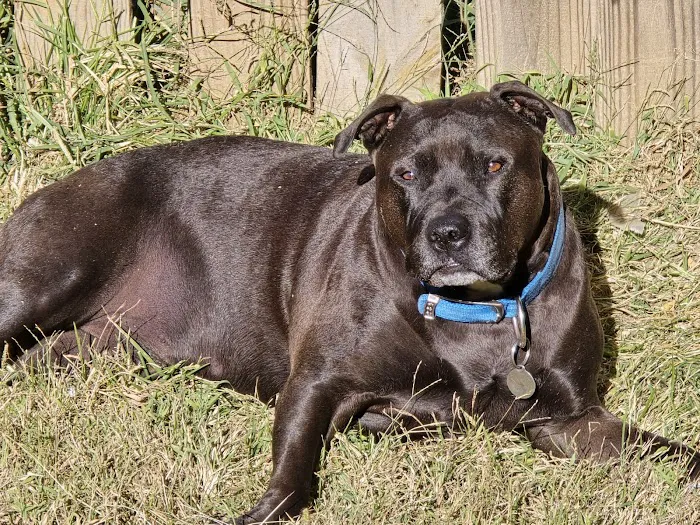 Twin Valley Veterinary Clinic Picture 7