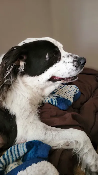 Twin Valley Veterinary Clinic Picture 4