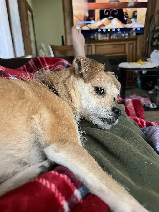 Twin Valley Veterinary Clinic Picture 6