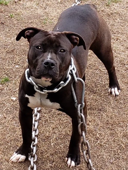 Twin Valley Veterinary Clinic Picture 8