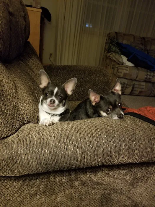 Twin Valley Veterinary Clinic Picture 9