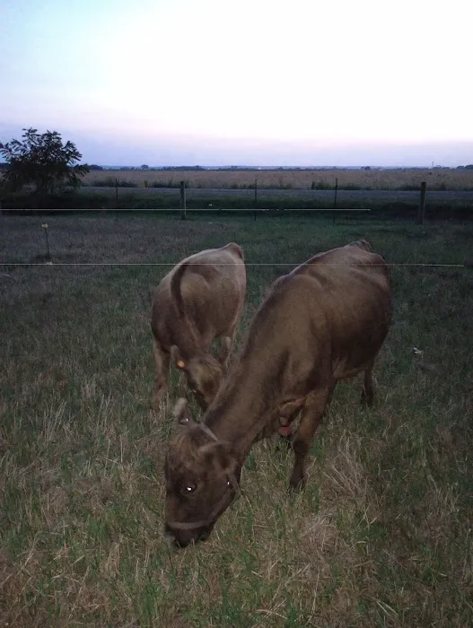 Valley Veterinary Center Picture 3