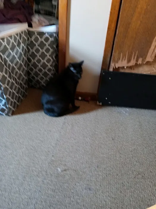 Valley Veterinary Center Picture 1