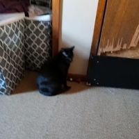 Valley Veterinary Center ico