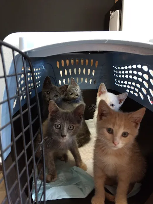 Marcus/Remsen Veterinary Clinic Picture 1