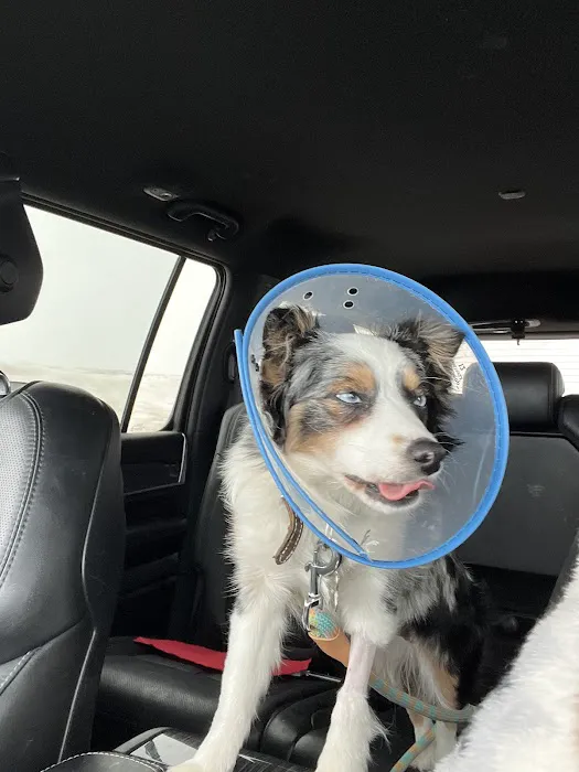 Le Mars Veterinary Clinic Picture 3