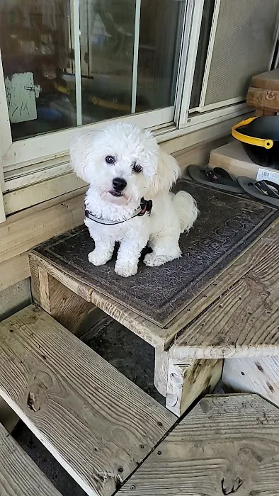 Le Mars Veterinary Clinic Picture 6