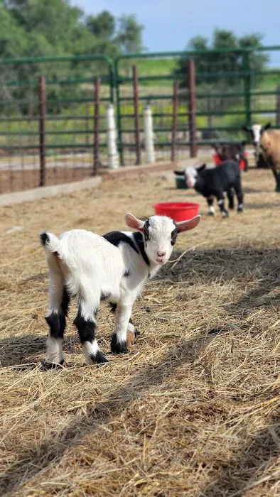 Le Mars Veterinary Clinic Picture 2