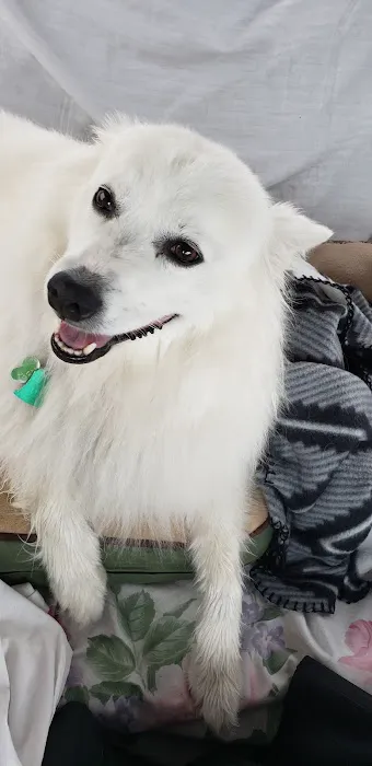 Le Mars Veterinary Clinic Picture 5