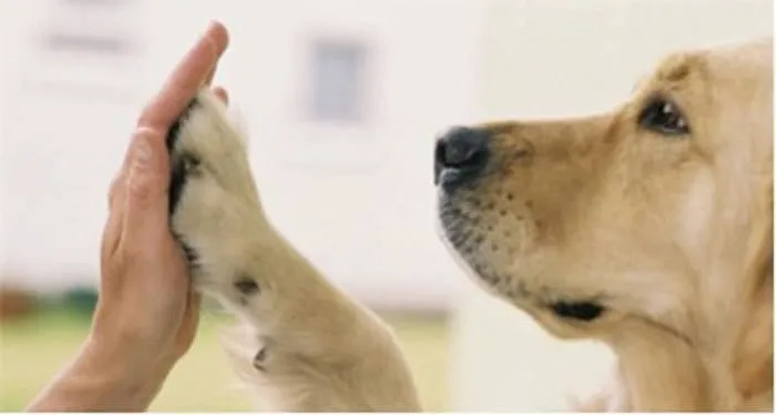 Le Mars Veterinary Clinic Picture 10