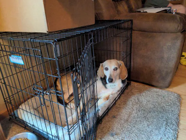 Le Mars Veterinary Clinic Picture 7