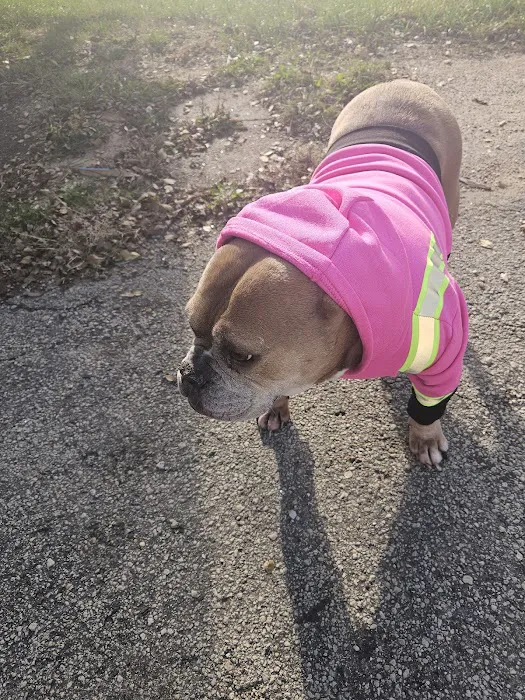 Le Mars Veterinary Clinic Picture 9