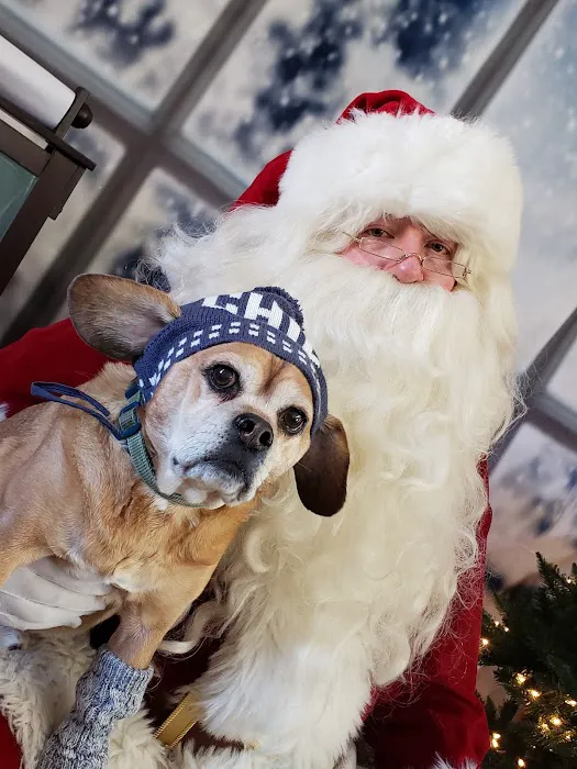 Atlantic Animal Health Center, LLC Picture 3