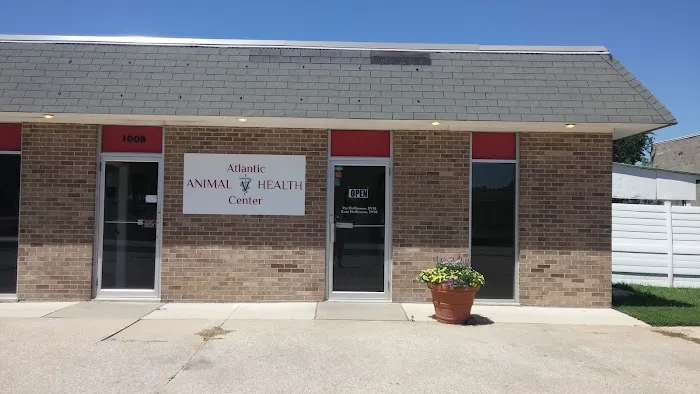 Atlantic Animal Health Center, LLC Picture 2