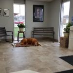 Atlantic Animal Health Center, LLC