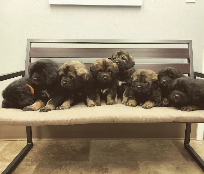 Atlantic Animal Health Center, LLC Picture 4