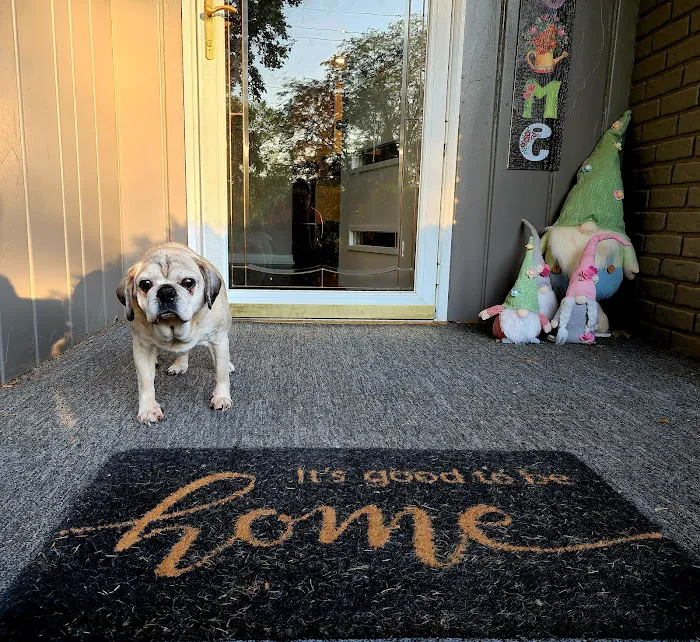 Atlantic Animal Health Center, LLC Picture 6