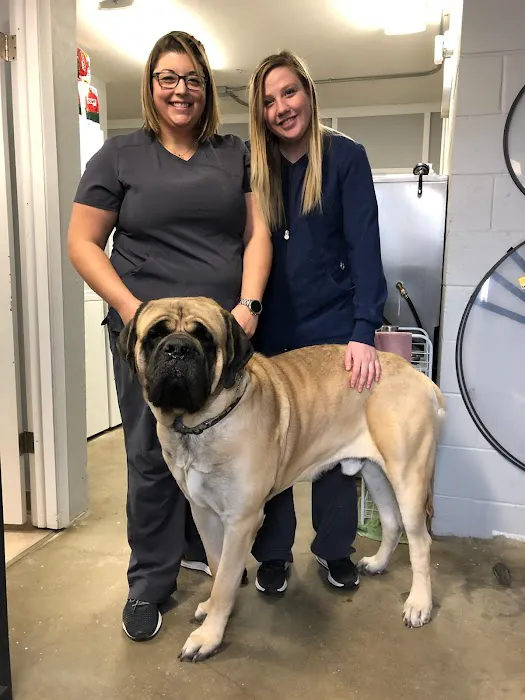 Atlantic Animal Health Center, LLC Picture 5