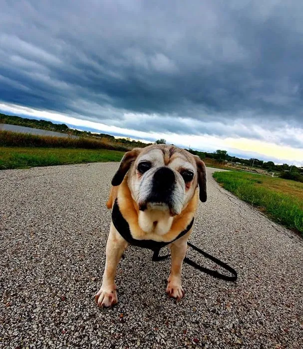 Atlantic Animal Health Center, LLC Picture 7