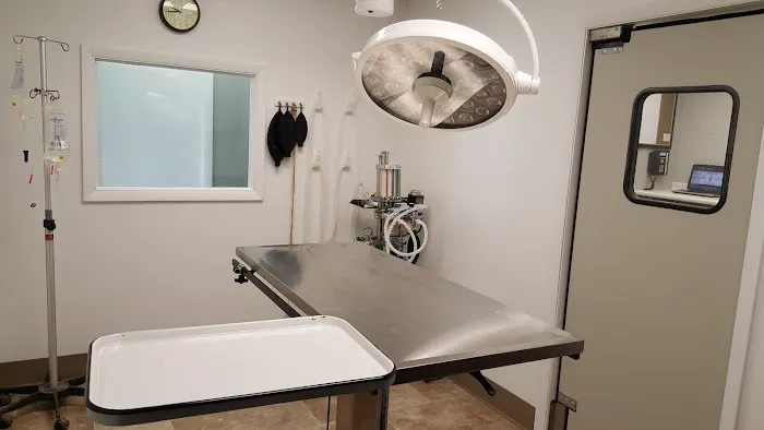 Atlantic Animal Health Center, LLC Picture 8