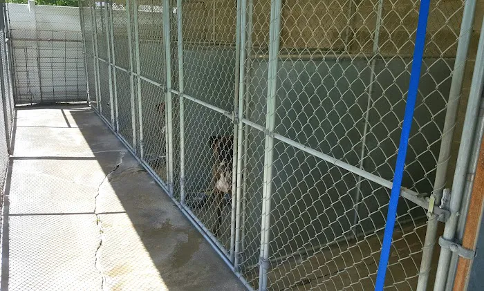 Atlantic Animal Health Center, LLC Picture 9