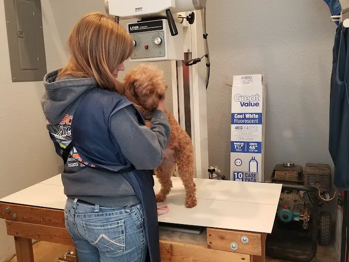 Lyman Vet Clinic Picture 1