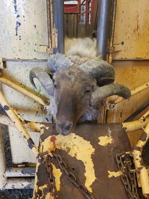 Lyman Vet Clinic Picture 5