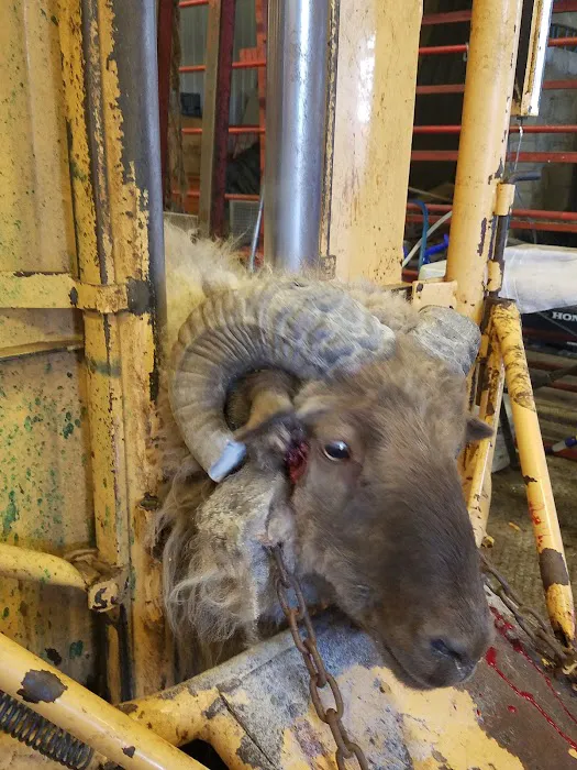 Lyman Vet Clinic Picture 4