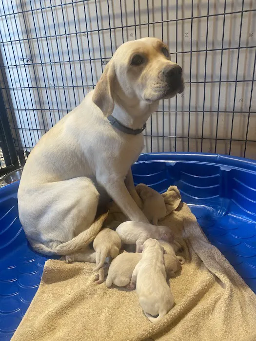 Lyman Vet Clinic Picture 3