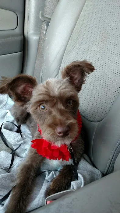 Avoca Veterinary Clinic Picture 2