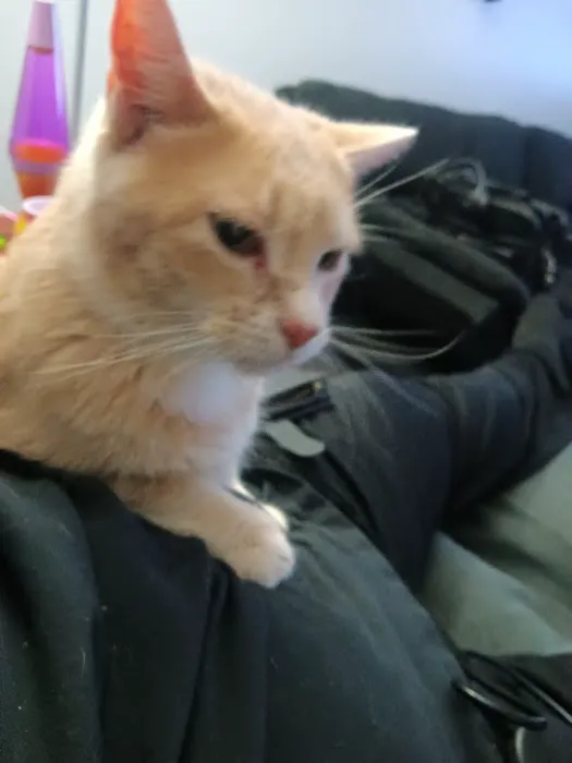 Avoca Veterinary Clinic Picture 3